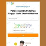 Cara Praktis Cek Desil DTSEN Lewat HP dengan Input NIK