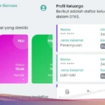 Cara Praktis Cek Desil NIK KTP 2026 Online lewat HP untuk Penerima Bansos