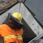 Damkar Ciamis Gercep Evakuasi Sarang Tawon Vespa di Plafon Rumah Warga Rancah