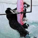 Gornoluzhnik: Tradisi Unik Warga Rusia Tutup Musim Ski dengan Meluncur ke Kolam