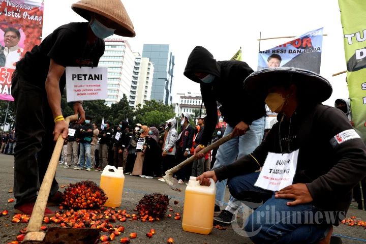 Lonjakan Harga Minyak dan Plastik Dorong Masyarakat Amankan Stok Minyakita