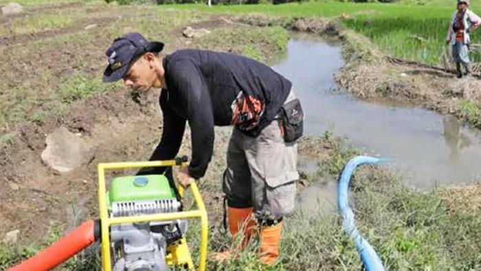 Pemkab Pati Usulkan 379 Titik Pompanisasi untuk Mitigasi Kekeringan, Target Perbaikan Irigasi