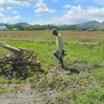 Pencurian Mesin Traktor di Sawah Dukuh Randu, Kutoharjo: Dua Unit Hilang Sekaligus