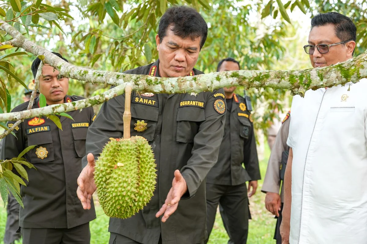 Terungkap! Strategi Durian Indonesia Buka Pasar China Raih Rp137 Triliun