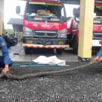 Ular Tersembunyi di Kap Motor, Warga Ciakar Ciamis Minta Damkar Evakuasi